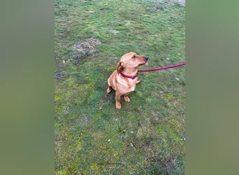 Bubu, geboren 10.05.2025, 35cm sucht Familienanschluss