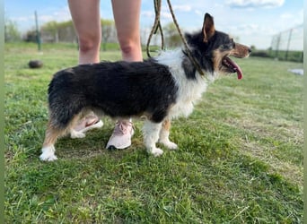 Cuki wartet auf tolle Abenteuer