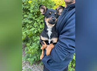 Tina, geboren 20.01.2026, 32cm sucht ihr Glück