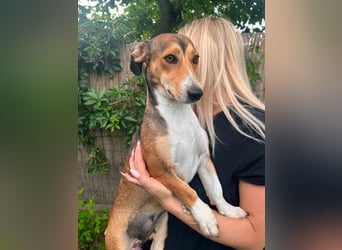 Inez, geboren 02.04.2024, 30cm sucht ihr Zuhause