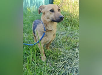 Marwin, geb. 04.2025, 40cm sucht sicheres Zuhause