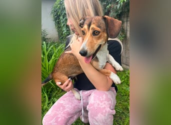 Inez, geboren 02.04.2024, 30cm sucht ihr Zuhause