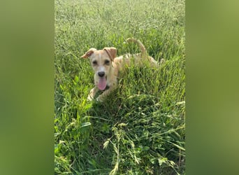 Zserbo, geb. 01.2026, 24cm sucht ihr Glück