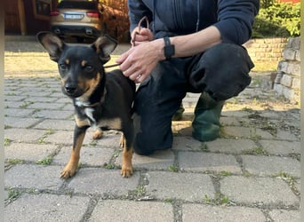 Tina, geboren 20.01.2026, 32cm sucht ihr Glück