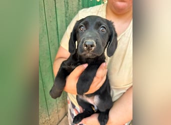 Manika, geboren 04.05.2026, 27cm sucht Familienanschluss