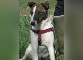 Szamoca, geboren 06.2025, 35cm sucht ihre Familie