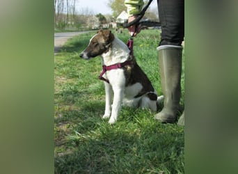 Szamoca, geboren 06.2025, 35cm sucht ihre Familie
