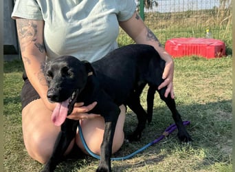 Anton, geboren 25.12.2024, 42cm sucht seine Menschen