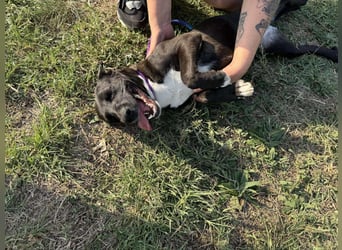 Nikita, geboren 25.12.2024, 40cm sucht ihre Chance