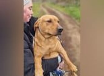 Tino, geb. 03/2023, 35 cm, wünscht sich ein Für-Immer-Zuhause