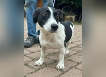 Alma, geboren 26.08.2023, 29cm sucht ihr Glück