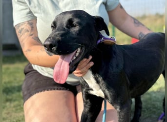 Anton, geboren 25.12.2024, 42cm sucht seine Menschen