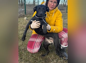 Hetty, geboren 25.01.2025, 42cm sucht ihre Familie