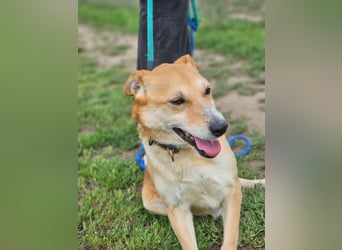 Wendy, geb. 07.2018, 42cm sucht ihr Für-Immer-Zuhause