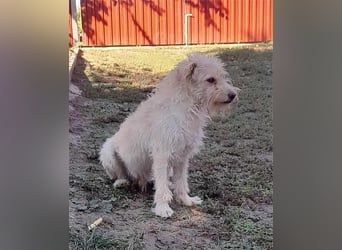 Fredi, 1,5 Jahre, 35cm sucht sein Körbchen