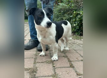 Alma, geboren 26.08.2023, 29cm sucht ihr Glück