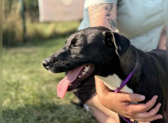 Nikita, geboren 25.12.2024, 40cm sucht ihre Chance