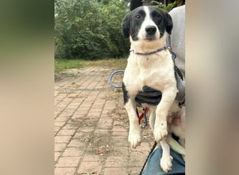 Alma, geboren 26.08.2023, 29cm sucht ihr Glück