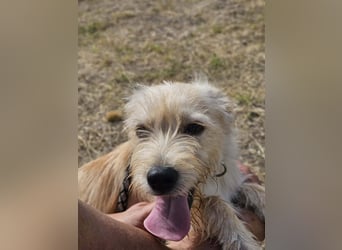 Lora, geboren 01.04.2026, 40cm sucht ihr Zuhause