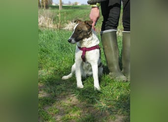 Szamoca, geboren 06.2025, 35cm sucht ihre Familie