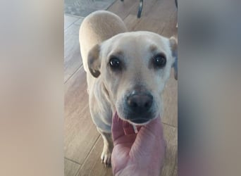 Baba, geb. 05/2023, 38 cm, wartet auf ihre Chance