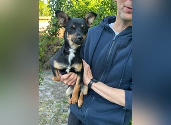 Tina, geboren 20.01.2026, 32cm sucht ihr Glück