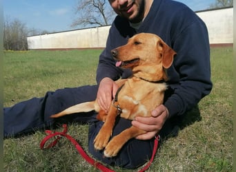 Bubu, geb. 05.2025, 35cm, sucht seine Familie