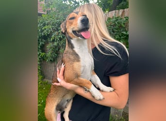 Inez, geboren 02.04.2024, 30cm sucht ihr Zuhause