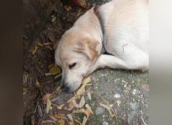 Baba, geb. 05.2023, 38cm sucht Menschen mit Herz