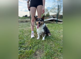 Cuki wartet auf tolle Abenteuer