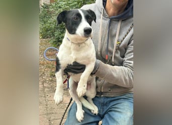 Alma, geboren 26.08.2023, 29cm sucht ihr Glück