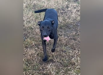 Hetty, geb. 01.2025 sucht ihre Menschen