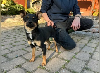 Tina, geboren 20.01.2026, 32cm sucht ihr Glück