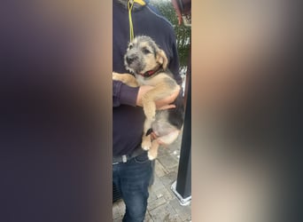 Evita, geboren 19.10.2025, 32cm sucht ihr Glück