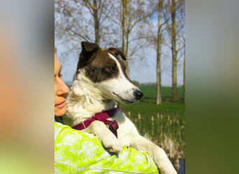 Szamoca, geboren 06.2025, 35cm sucht ihre Familie