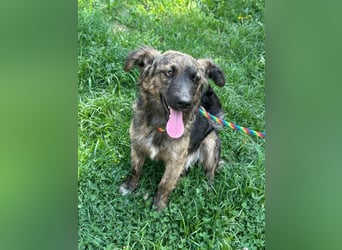 Nina, geb. 04.2025, 33cm sucht ihr Zuhause