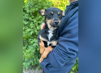 Tina, geboren 20.01.2026, 32cm sucht ihr Glück