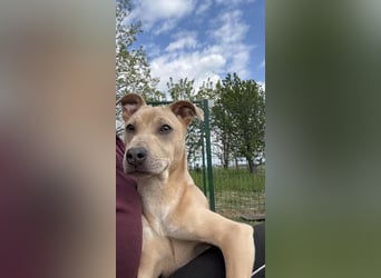 Bori, geb. 09.2025, 37cm sucht ihr Traumzuhause