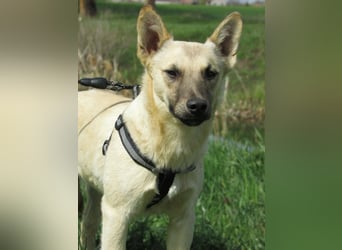 Aron, geboren 01.05.2025, 38cm sucht sein Zuhause