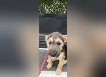 Evita, geboren 19.10.2025, 32cm sucht ihr Glück