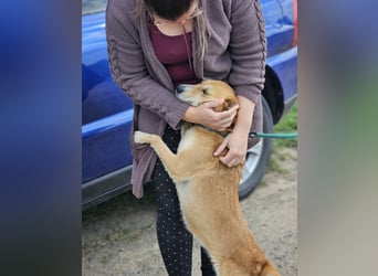 Wendy, geb. 07.2018, 42cm sucht ihr Für-Immer-Zuhause