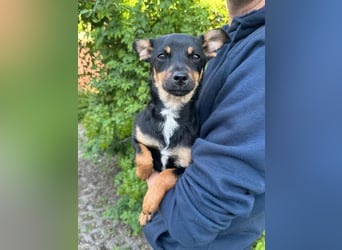 Tina, geboren 20.01.2026, 32cm sucht ihr Glück