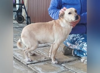 Baba, geb. 05.2023, 38cm sucht Menschen mit Herz