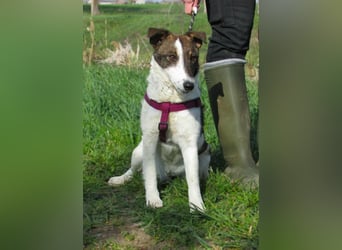 Szamoca, geboren 06.2025, 35cm sucht ihre Familie