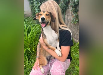 Tilli, geb. 02.2026, 26cm sucht ihre Chance