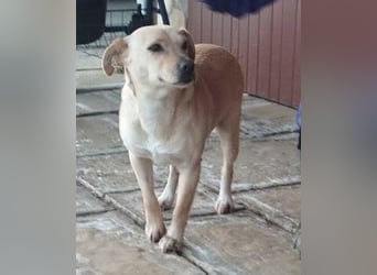 Baba, geb. 05.2023, 38cm sucht Menschen mit Herz