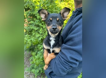 Tina, geboren 20.01.2026, 32cm sucht ihr Glück