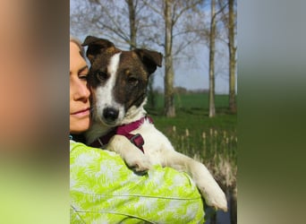 Szamoca, geboren 06.2025, 35cm sucht ihre Familie