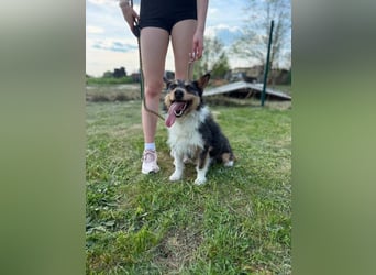 Cuki wartet auf tolle Abenteuer