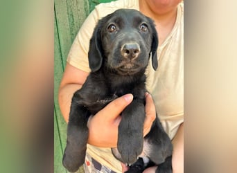 Manika, geboren 04.05.2026, 27cm sucht Familienanschluss